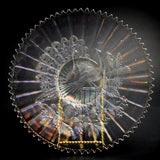 Northwood Peacock on a Fence Plate Iridescent Front View