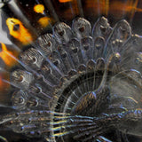 Northwood Peacock on a Fence Plate Iridescent Close Up